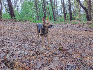 Photo de Turca