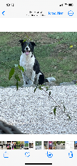 Photo de Paco