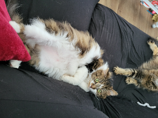 Olympe