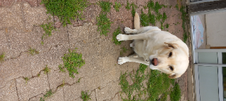 Photo de Junior