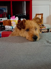 Photo de Soka
