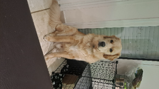 Photo de Zeus