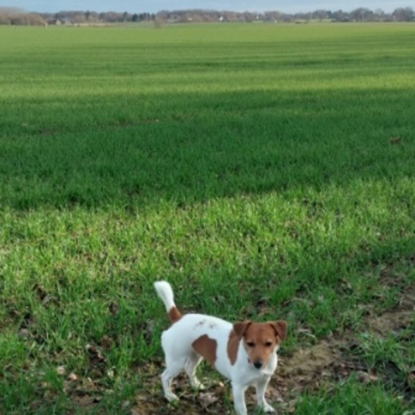 Photo de Bella
