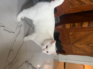 Photo de Bili