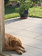 Photo de Sun