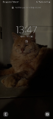 Nougat