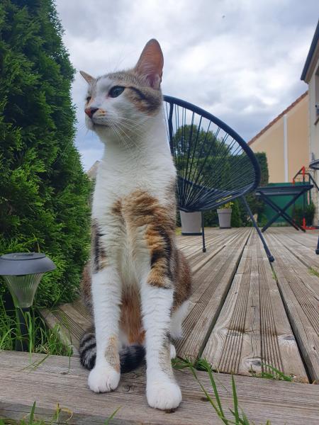 Photo de Unaï