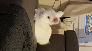 Photo de Kasan