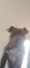 Photo de Thanos