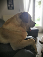 Photo de Saxo