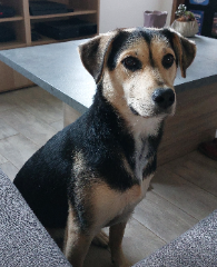 Photo de Nenette