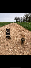 Photo de Volkann