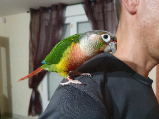 Photo de Bob