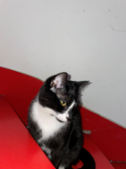 Photo de Thelma