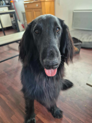Photo de Tako