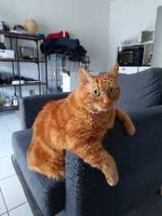 Rusty