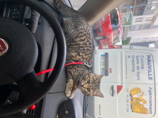 Photo de Ushi