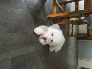 Zéro