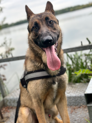 Usko