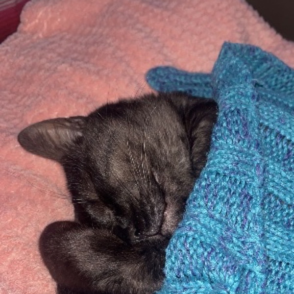 Photo de Jiji