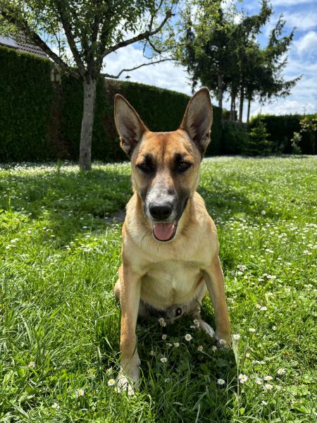spike