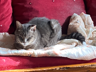 Photo de Pépère