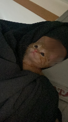 Nueve