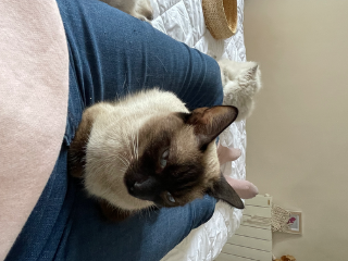 Photo de Thaïs