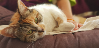 Photo de Moumoune