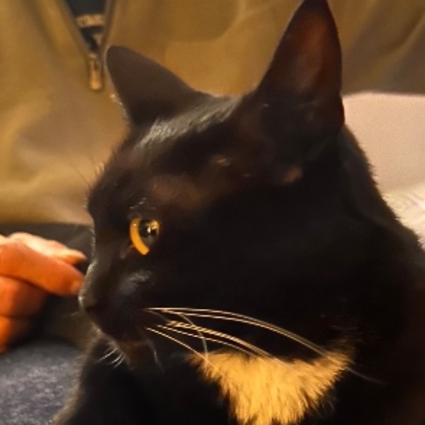 Photo de Ziggy