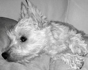 Photo de Lilou