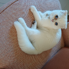 Photo de ZÉPHYR