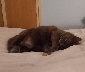 Photo de Zoe