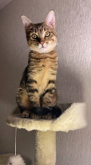 Photo de Kara
