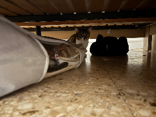 encore cher en visite !