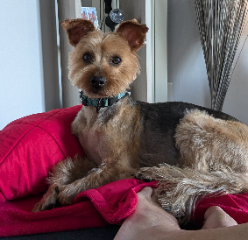 Photo de Maël