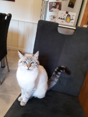 Photo de Mia