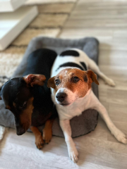 Photo de lola