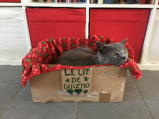 Guizmo
