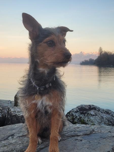 Photo de Neo