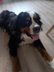 Photo de Oscar