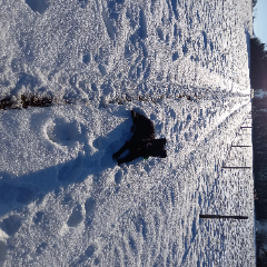 Photo de Vulcane