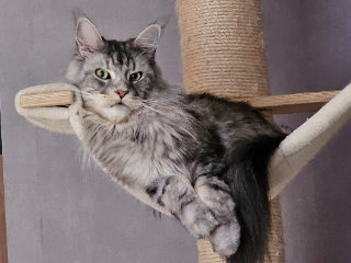 Photo de Raffaello