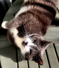 Photo de Oscar