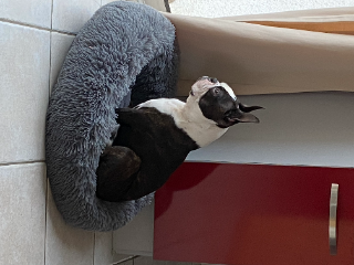 MARLEY