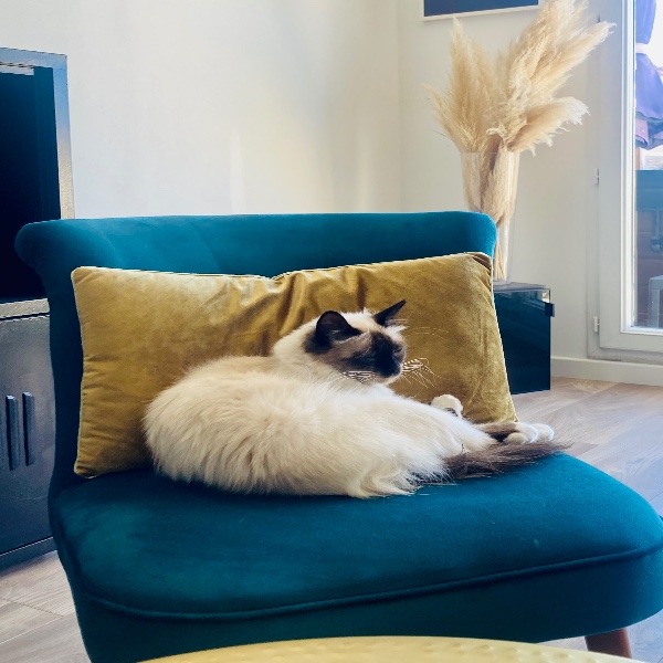 Photo de Bella
