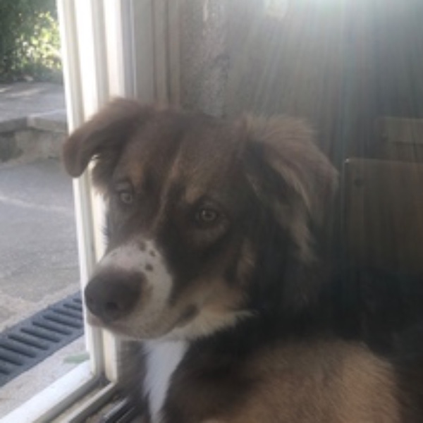 Photo de Aiko