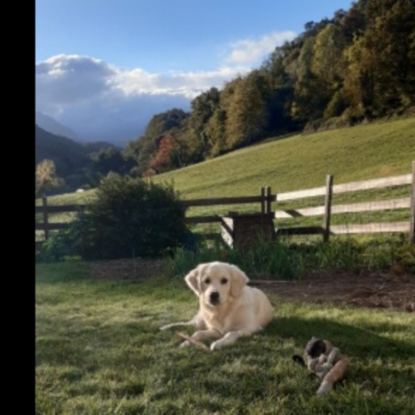 Photo de Athena