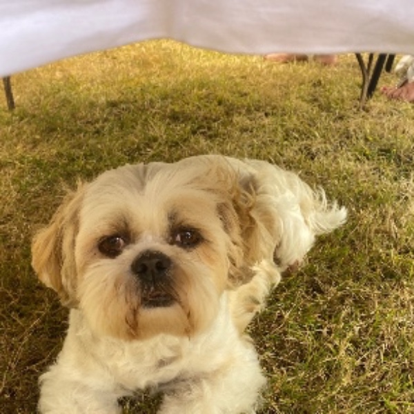 Photo de Loky