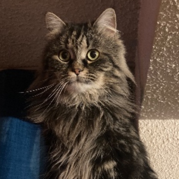 Photo de Mimi